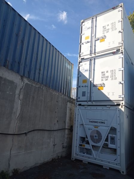 20' frigo